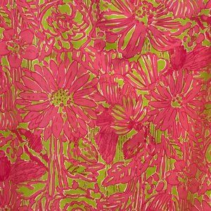 Beautiful Lilly Pulitzer Skirt Sz 12 EUC